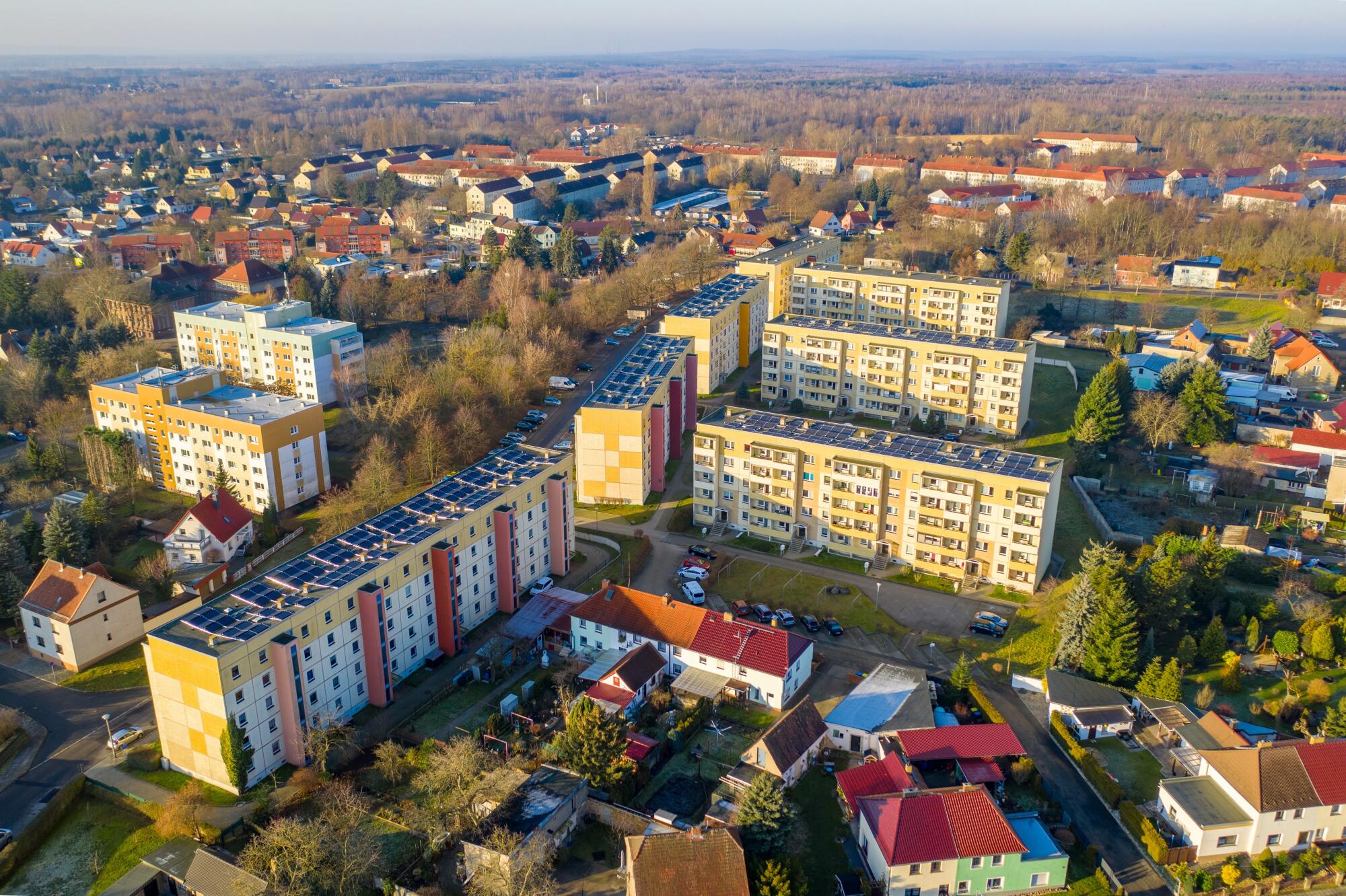 Master Tenant Background Checks for Hassle-Free Renting In Hammond