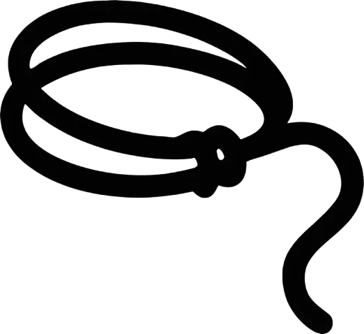 Lasso of Truth/ Accounting & Reporting logo